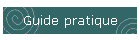 Guide pratique